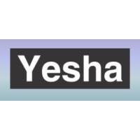 YESHA SS CABLE TIES